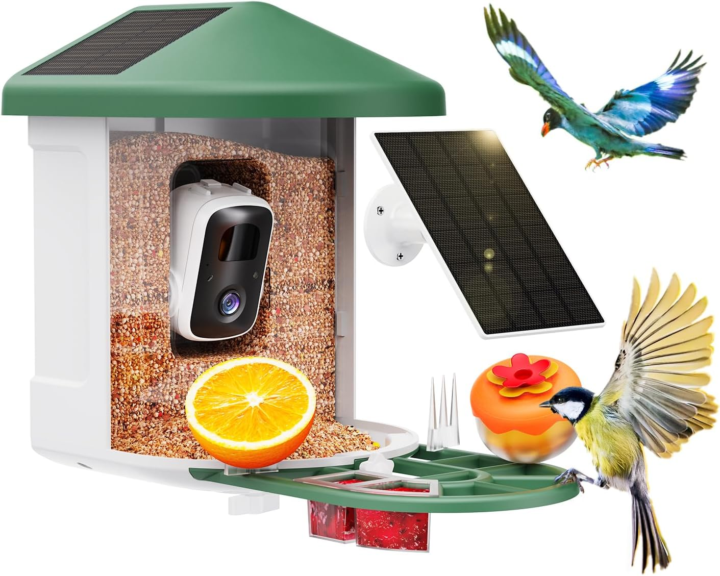 Birdnee smart bird feeder camera, solar panel and visiting birds