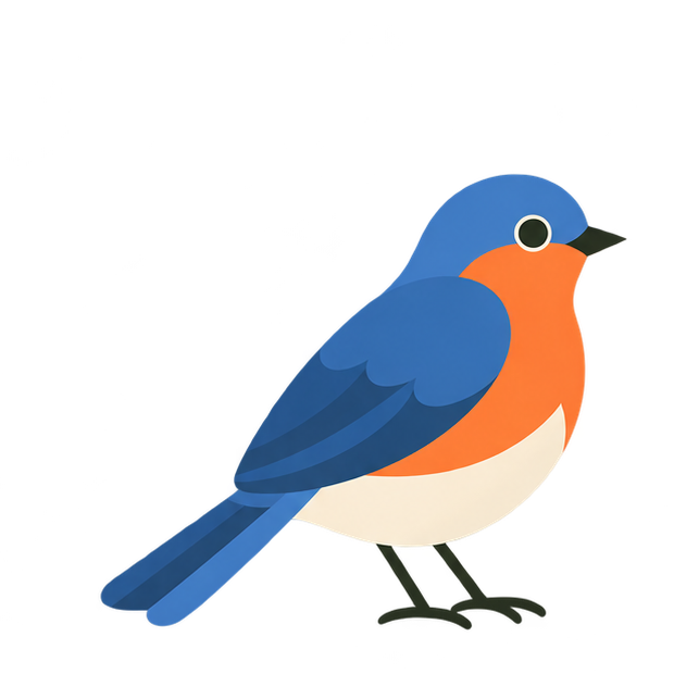 Illustrated Eastern Bluebird