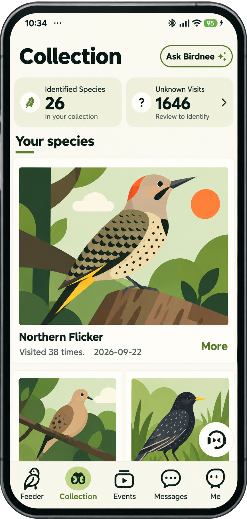 Birdnee app Collection screen in a flat illustrated style, showing identified bird species and saved visits