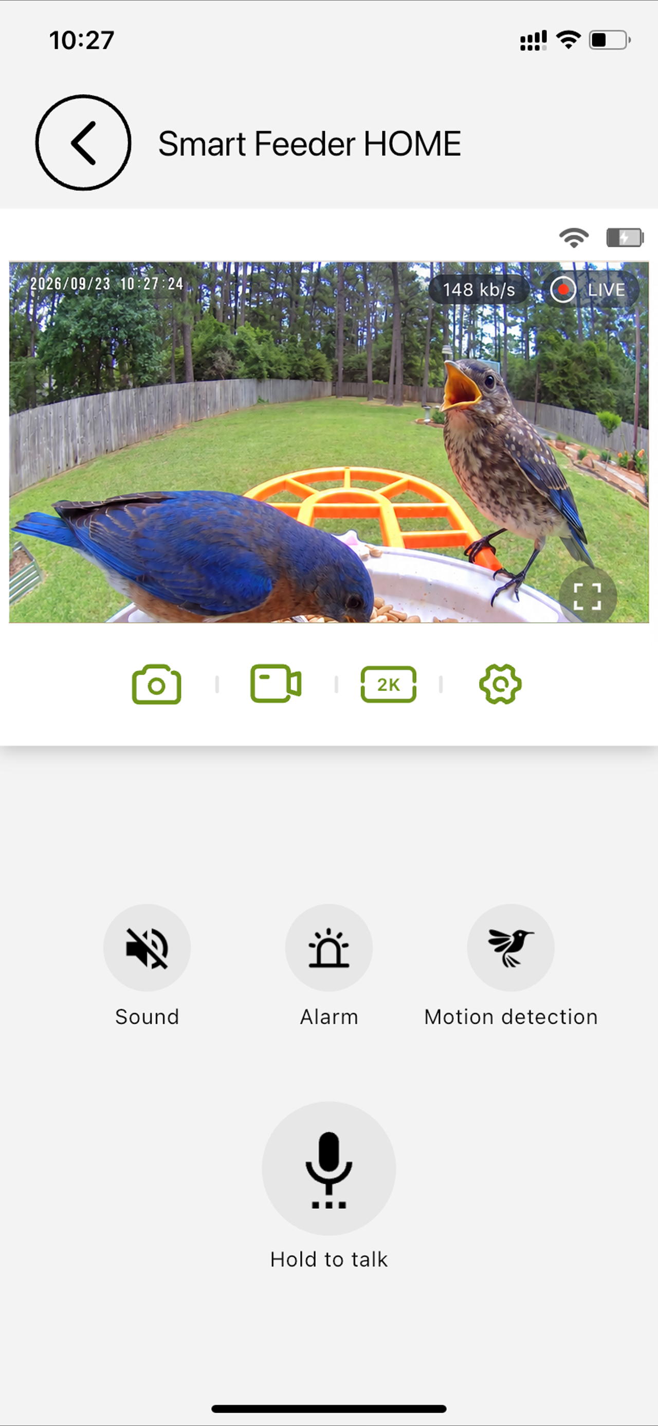Birdnee live camera view with recording, sound and microphone controls
