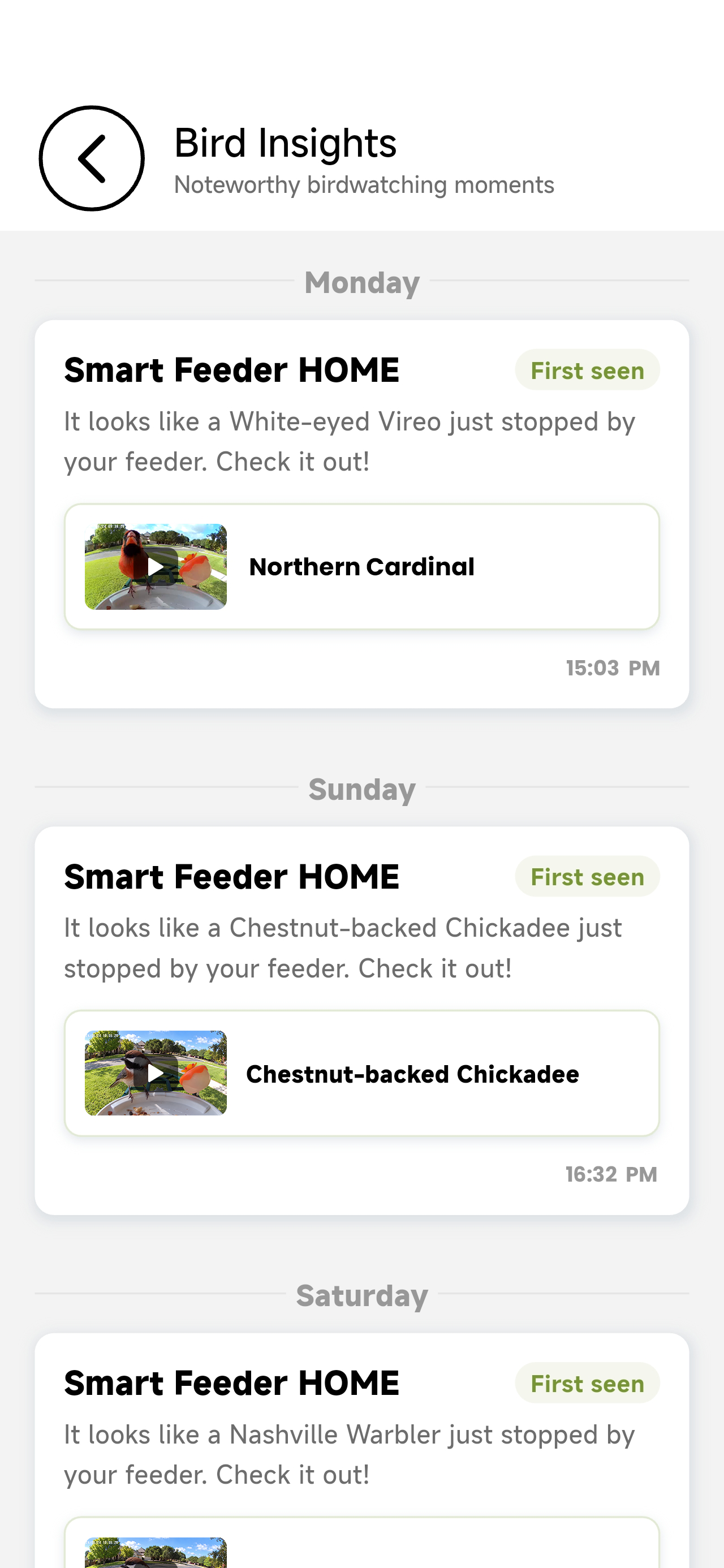 Birdnee Bird Insights timeline with identified visits