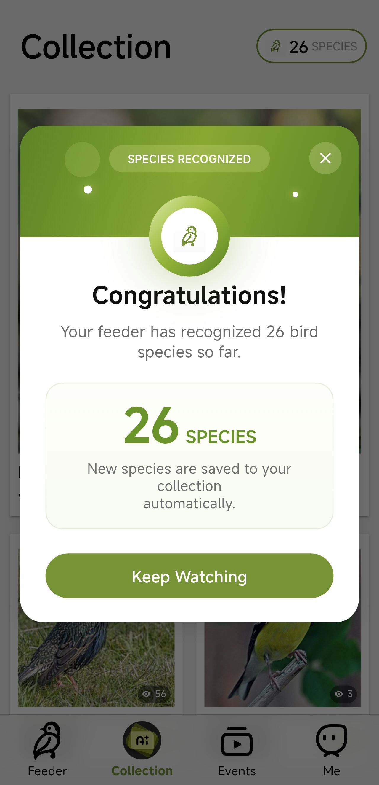 Birdnee species recognition result in Collection