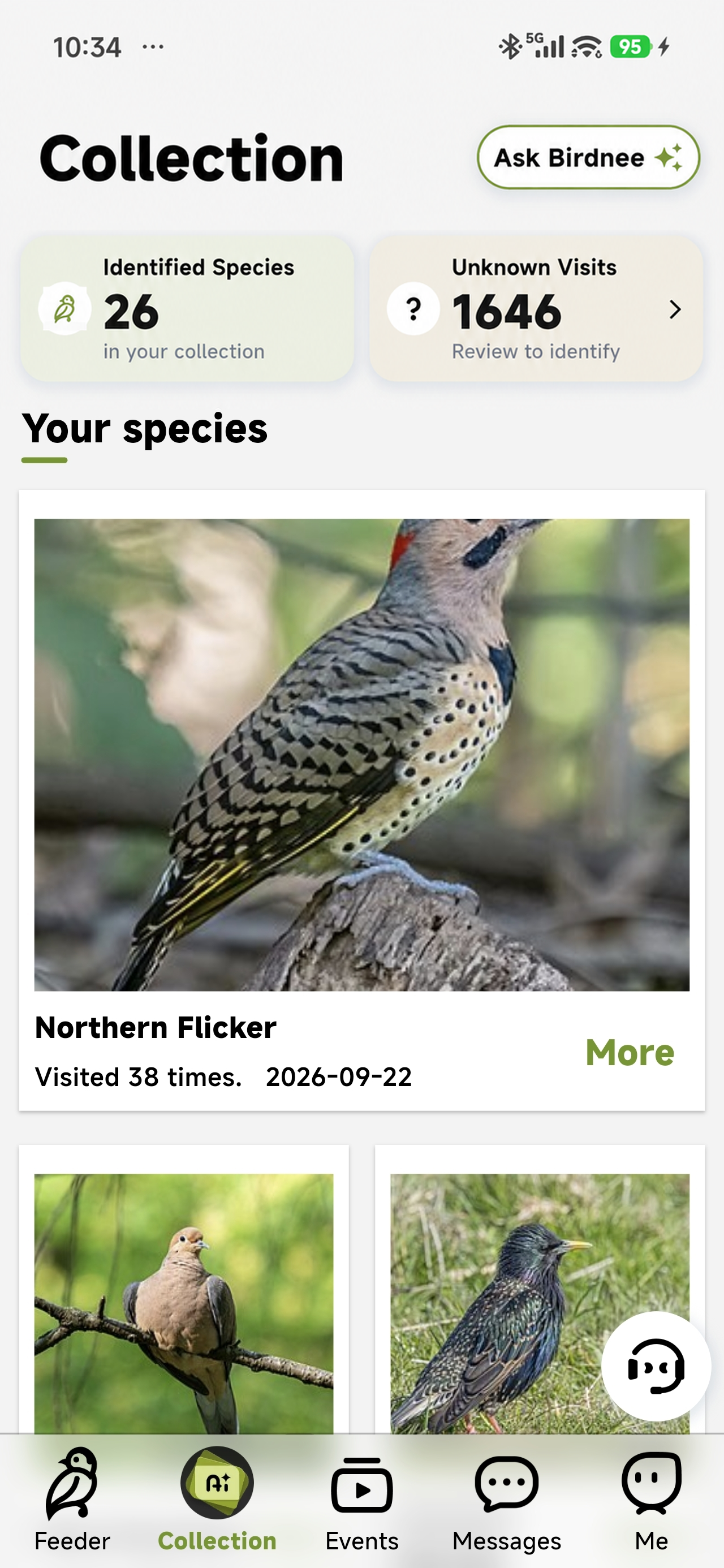 Build a bird collection
