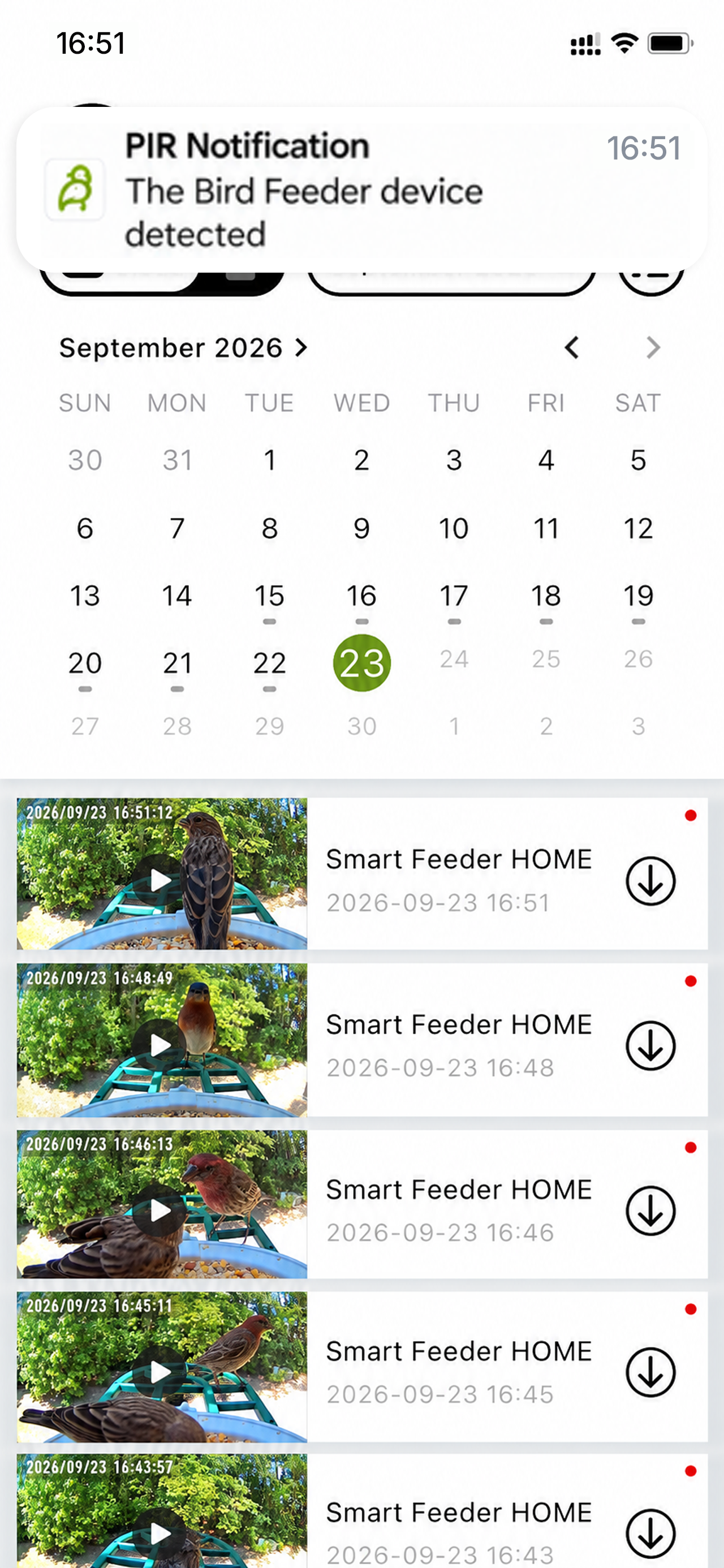 Birdnee Events calendar and recorded bird visits
