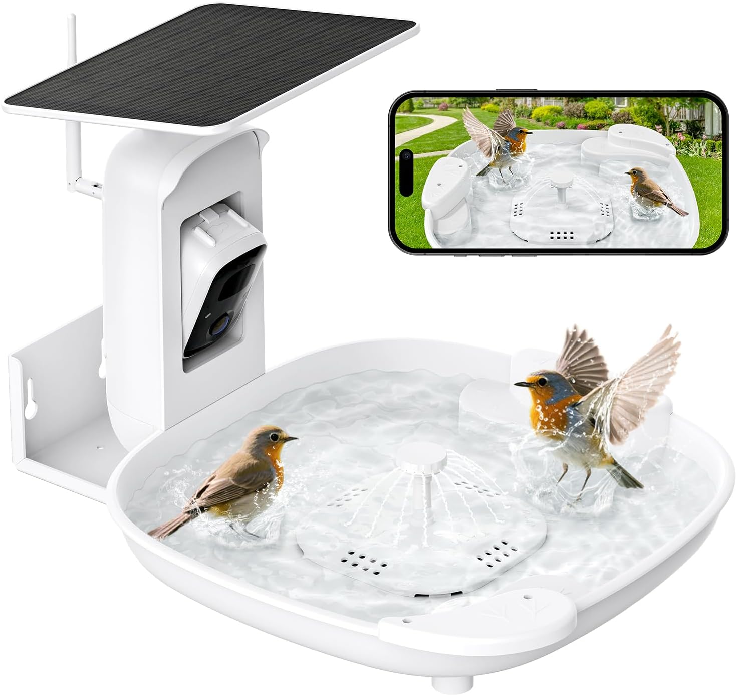 Smart bird bath with camera and solar fountain