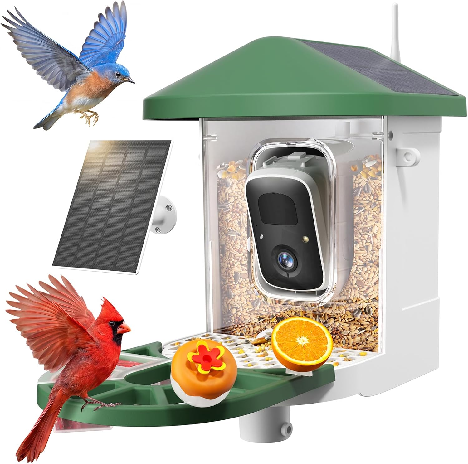 Smart bird feeder camera with solar roof
