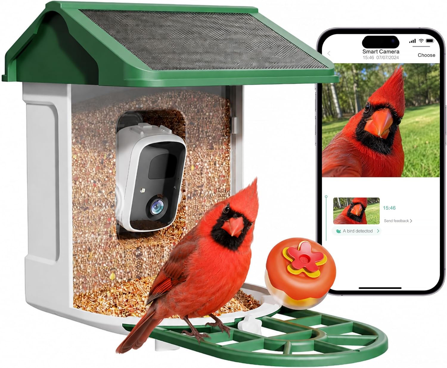Smart bird feeder camera for close-up bird watching