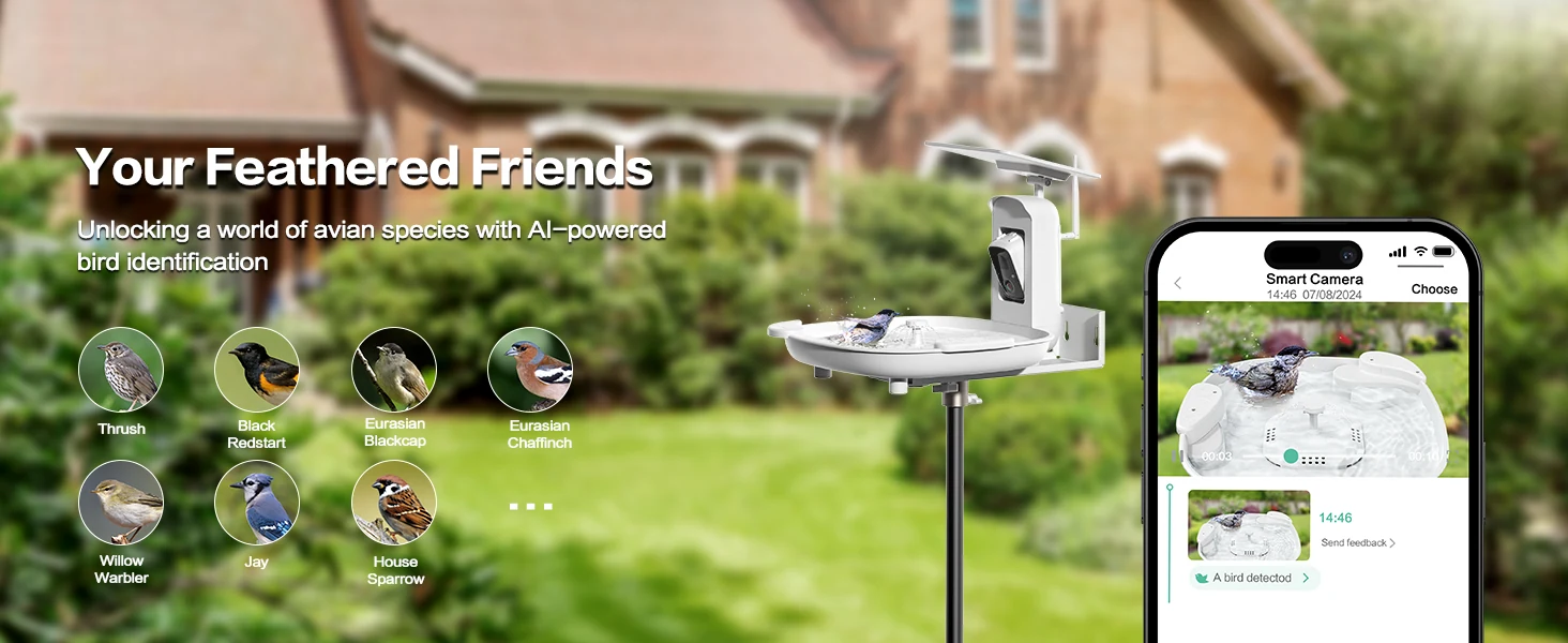 Bird Bath AI bird identification