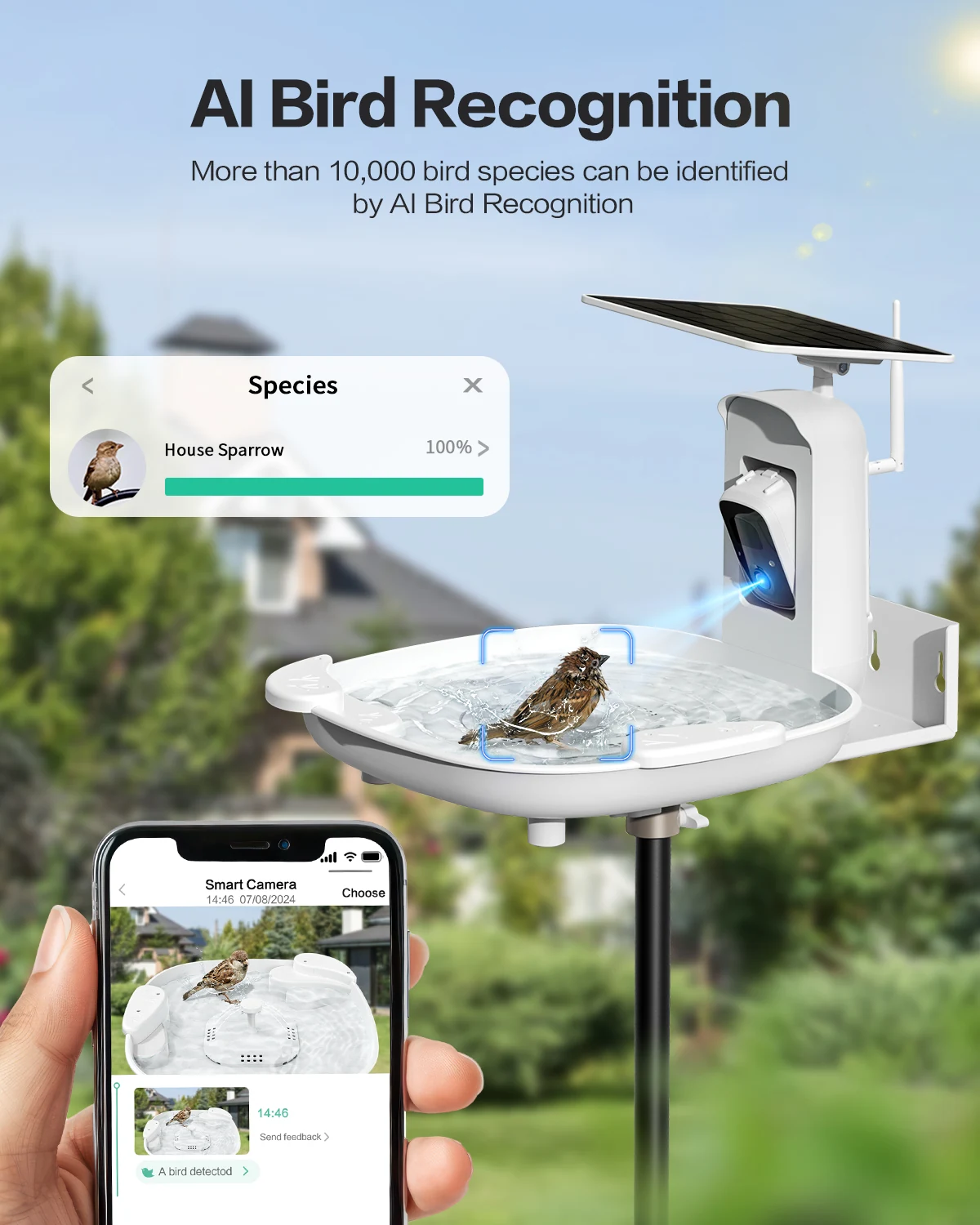 AI bird identification