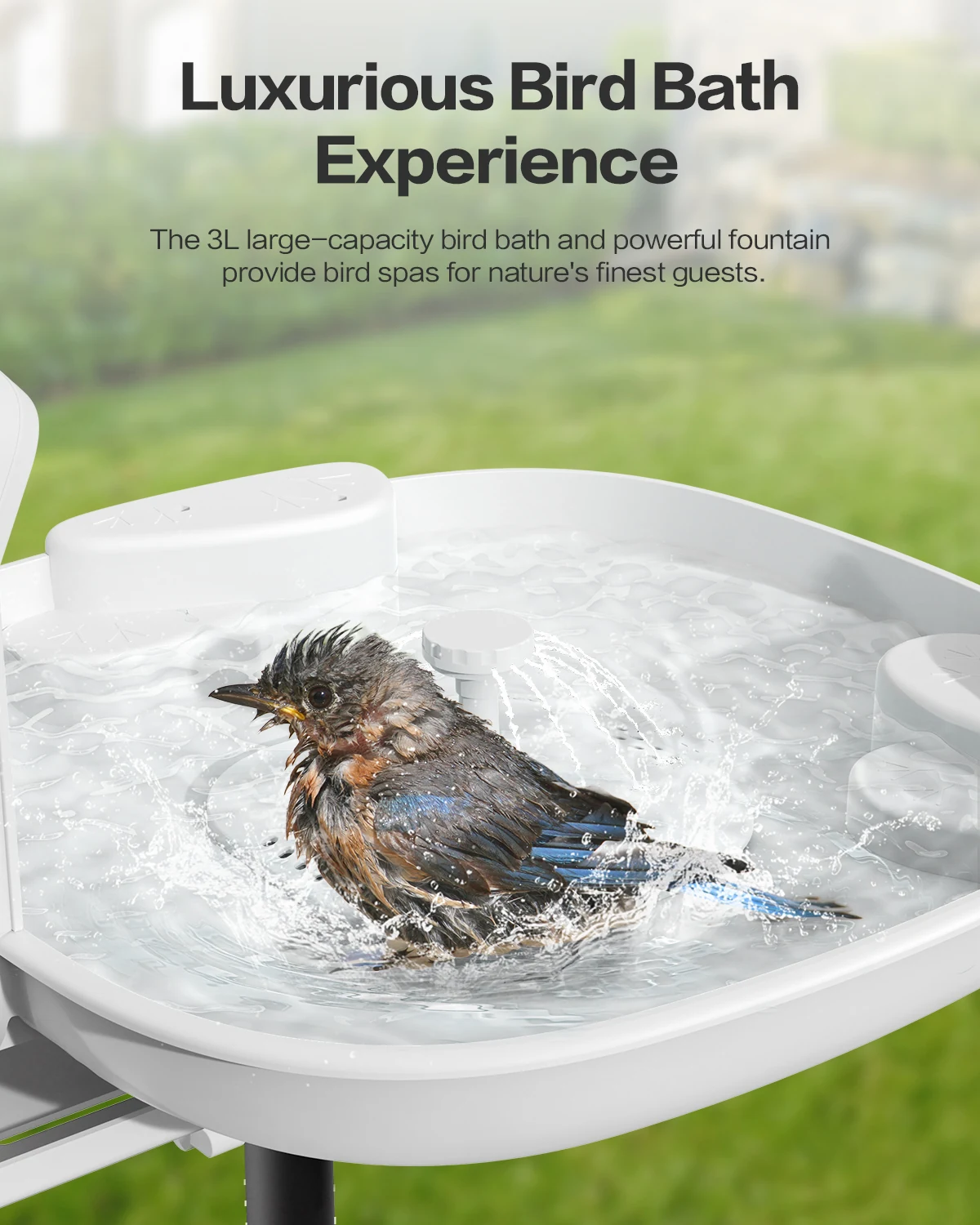 3L bird bath and automatic fountain
