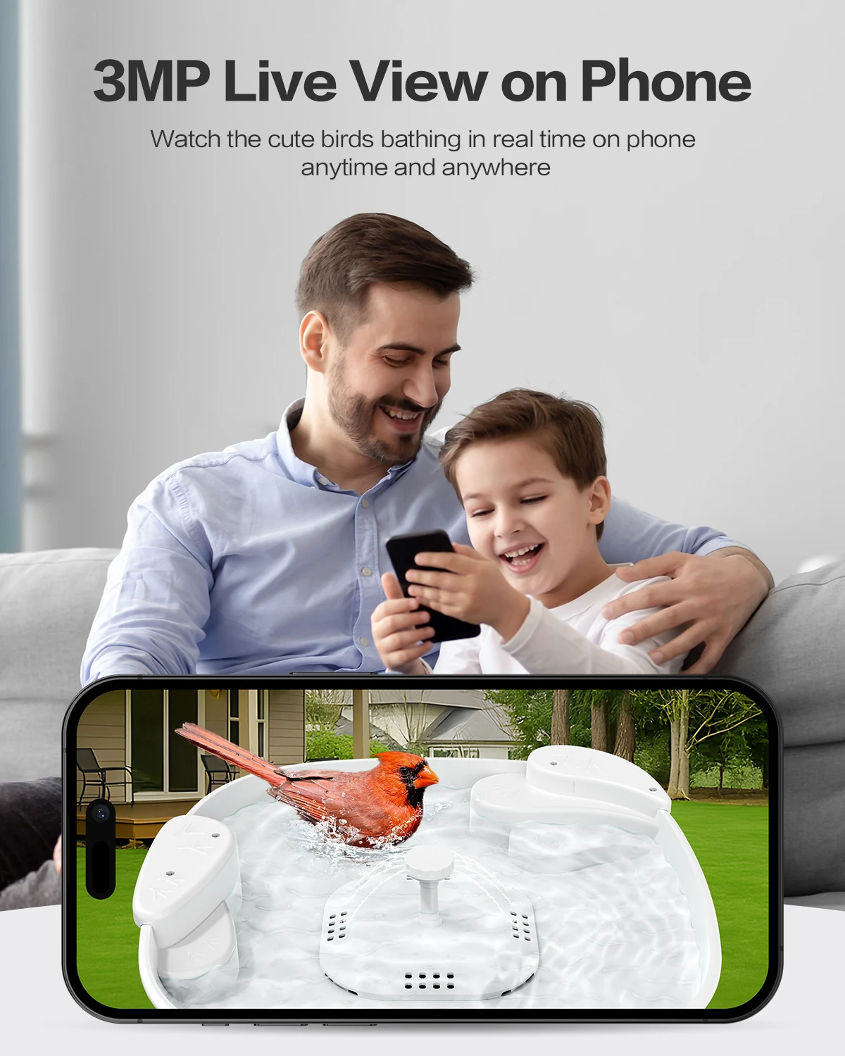 Live bird video on phone