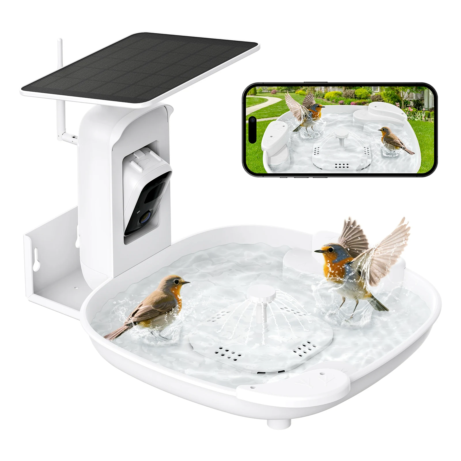 Birdnee smart bird bath with camera and solar fountain