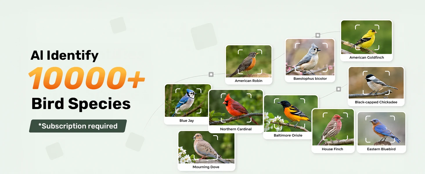 BF123S AI bird identification for more than 10,000 bird species