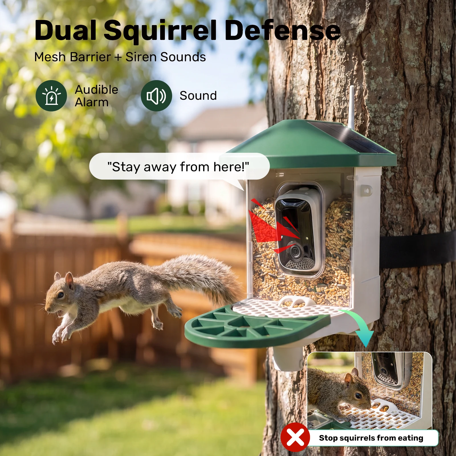 Dual squirrel protection