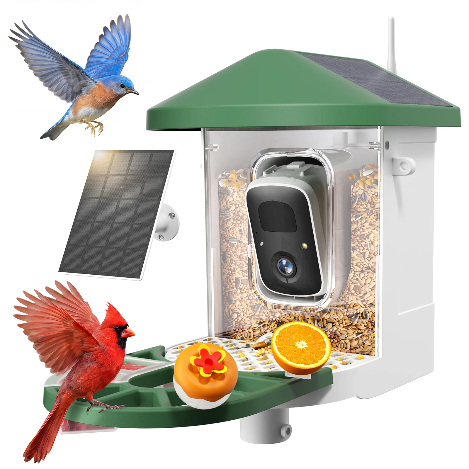 Birdnee BF123S smart bird feeder camera