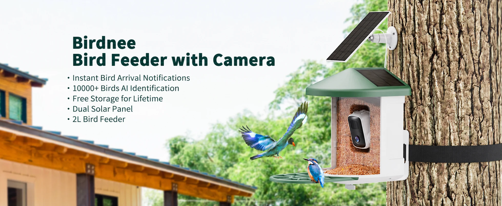 Birdnee bird feeder with camera, instant bird arrival notifications, AI identification, dual solar panel and 2L bird feeder