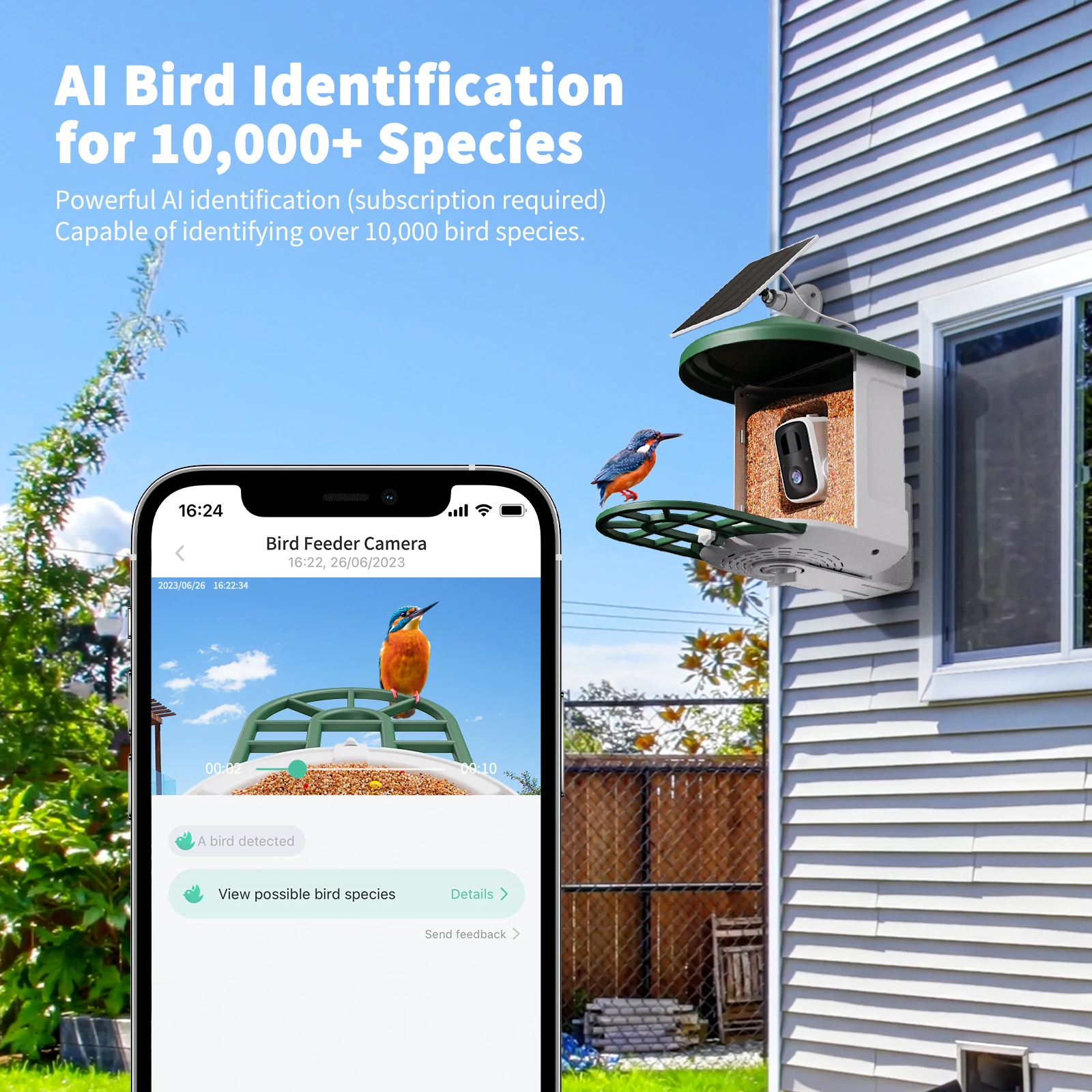 BF12S AI bird identification