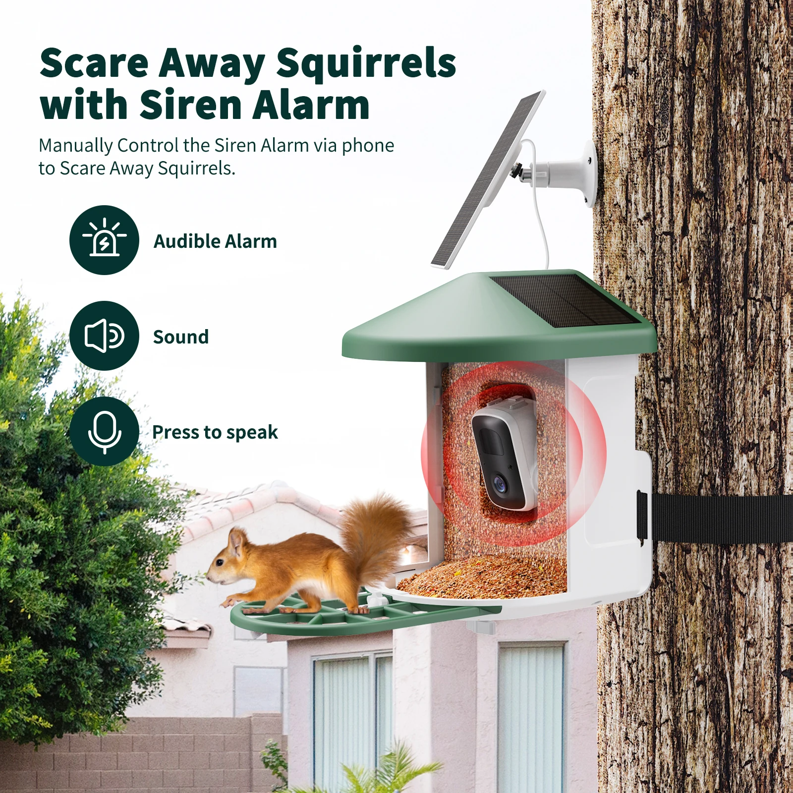 BF12S squirrel protection