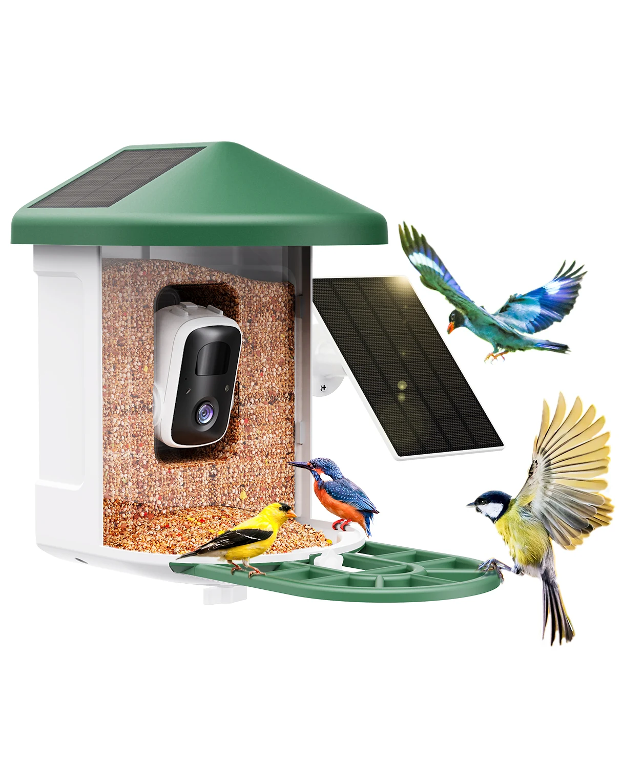BF12S smart bird feeder with camera and external solar panel
