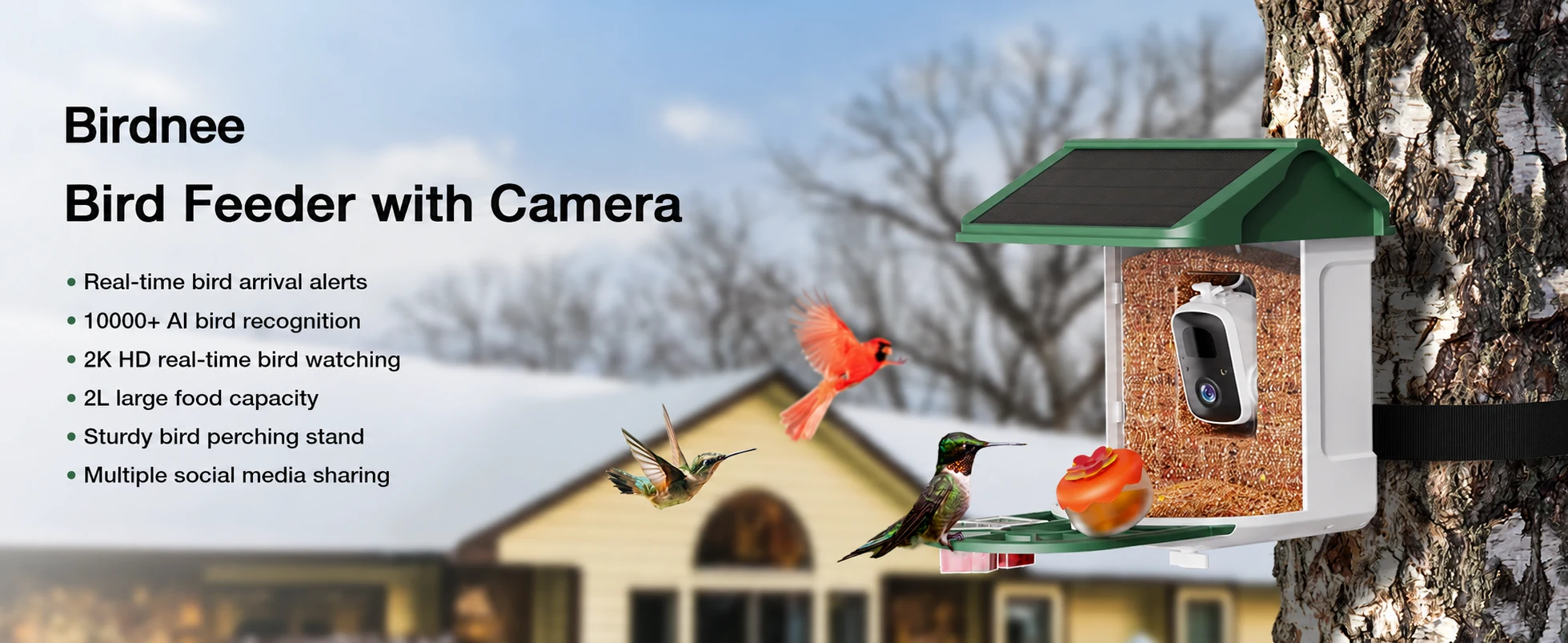 BF44S bird feeder with camera, AI identification, alerts, solar power and 2L capacity