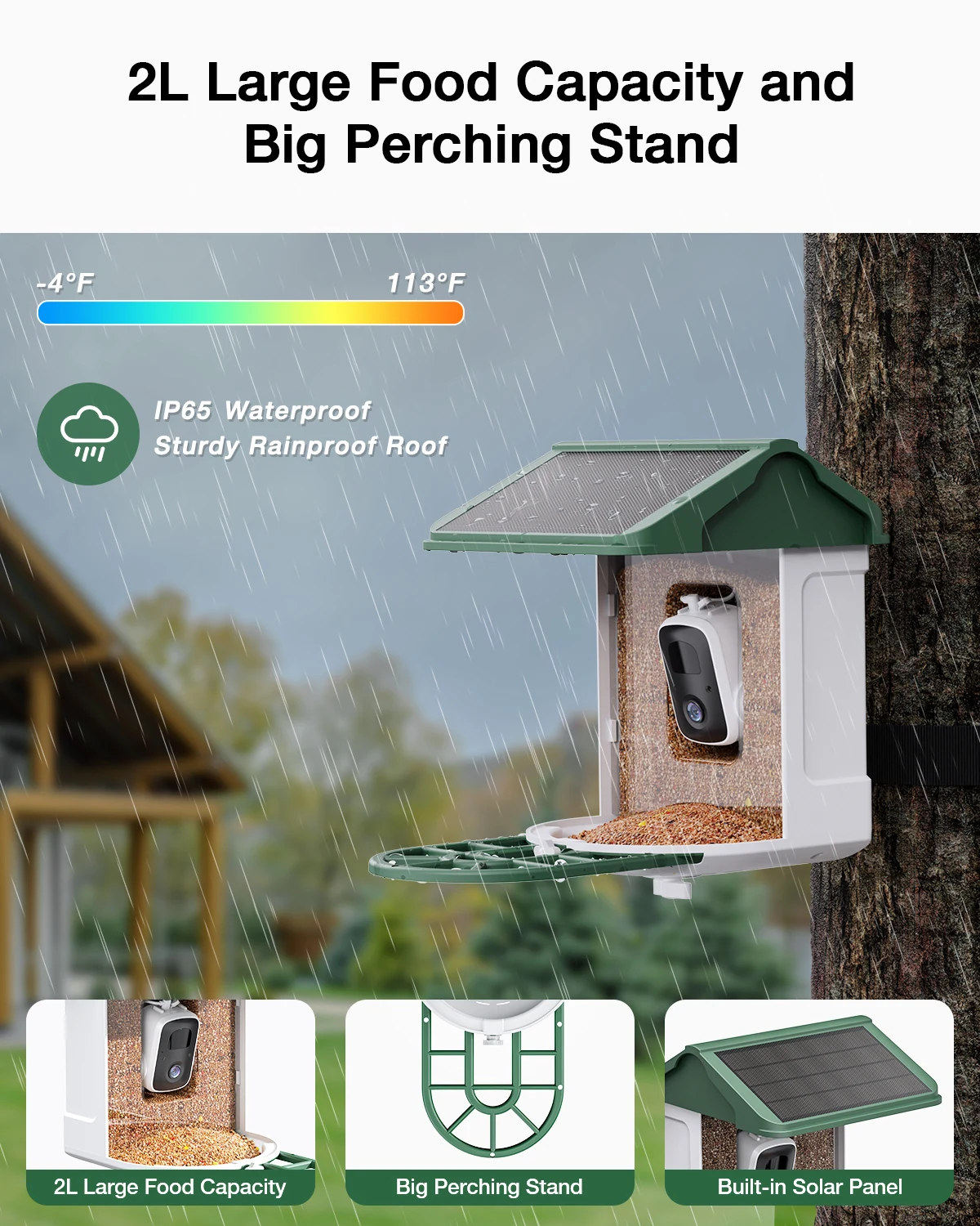 AI bird identification