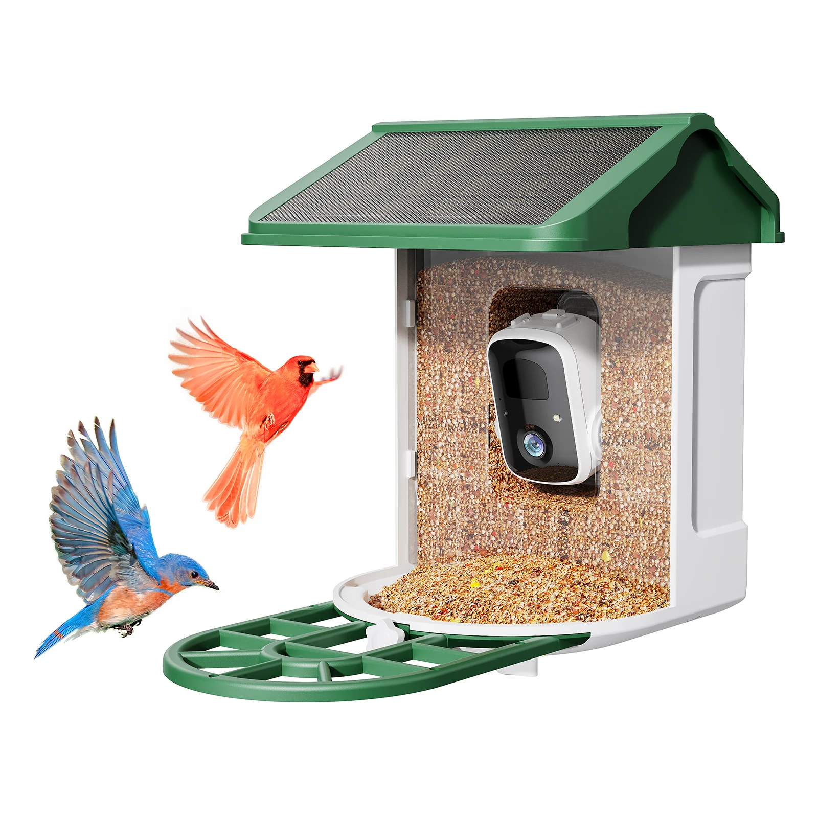 Birdnee BF44S smart bird feeder with camera