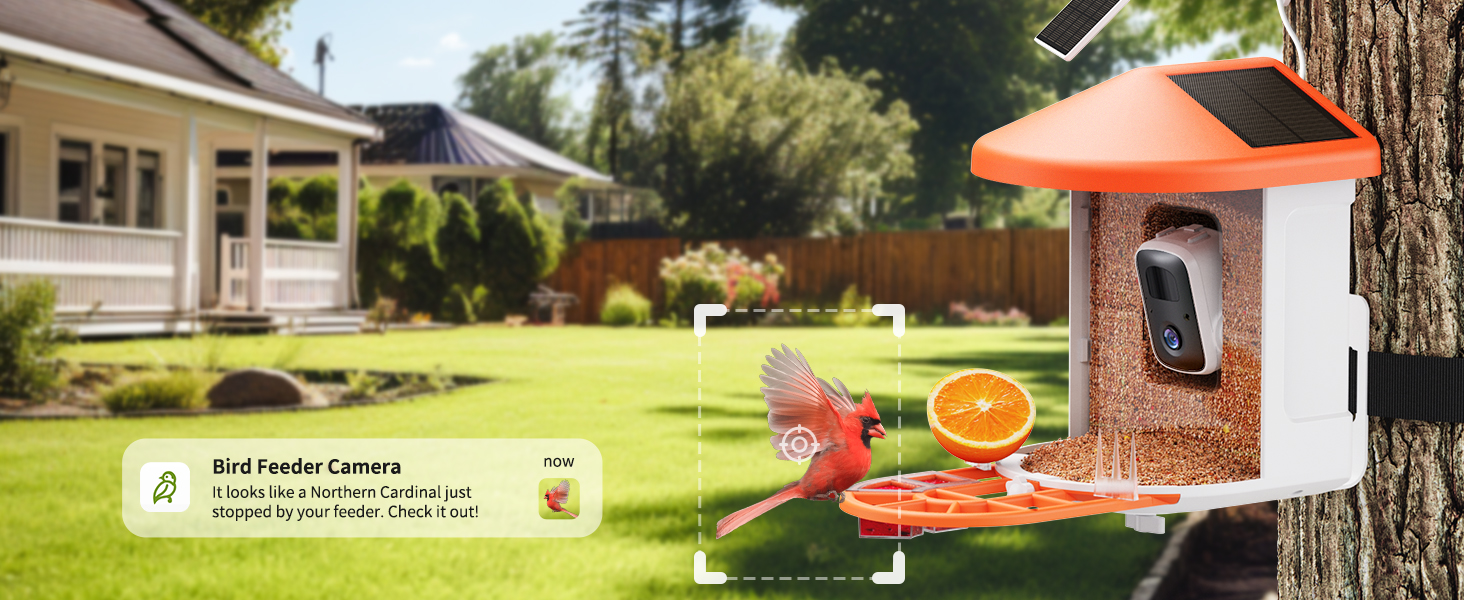 HARYMOR solar bird feeder installed on a backyard tree with an arriving northern cardinal and a Birdnee notification