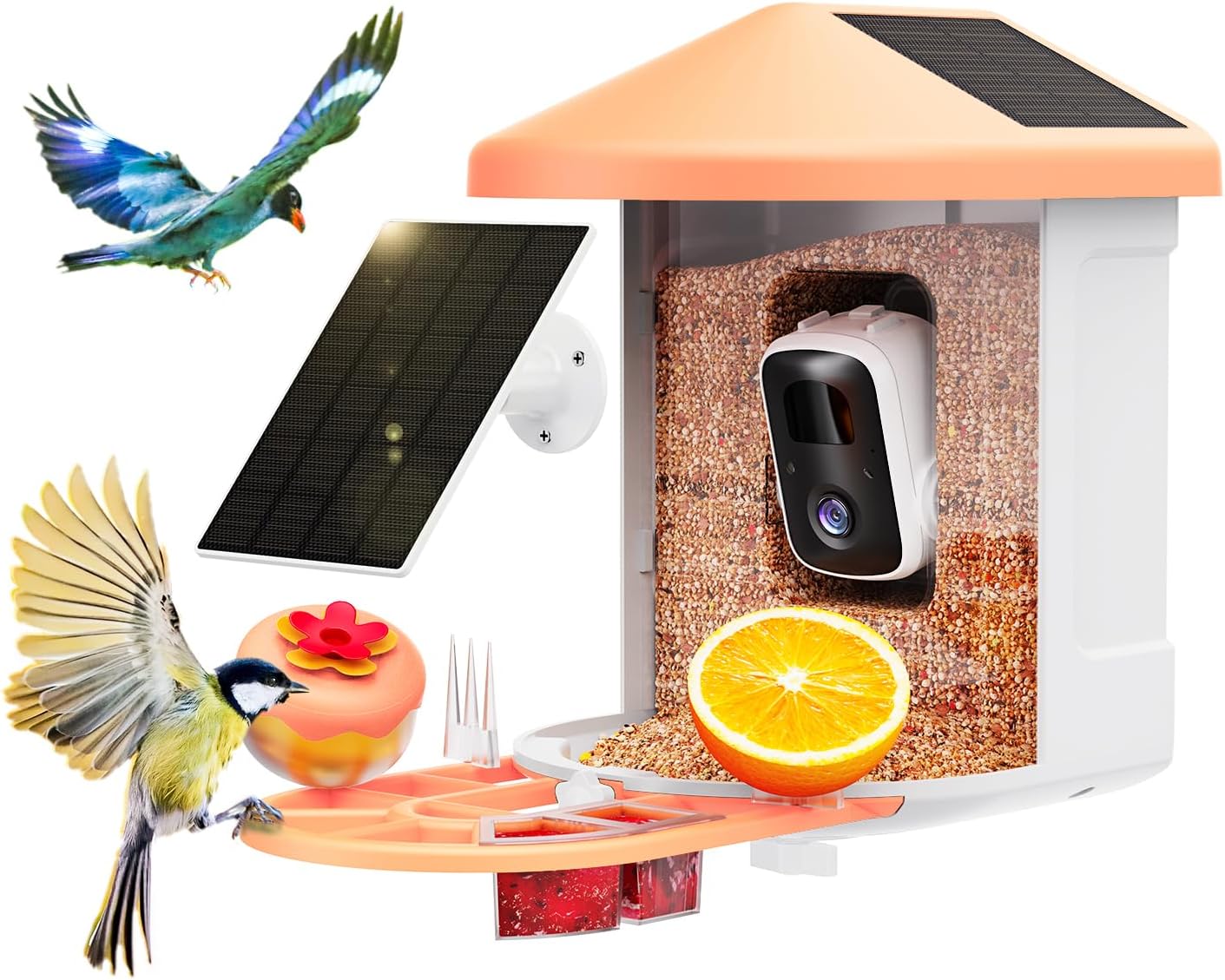 Orange HARYMOR smart bird feeder with camera, solar panels and colorful visiting birds, compatible with Birdnee