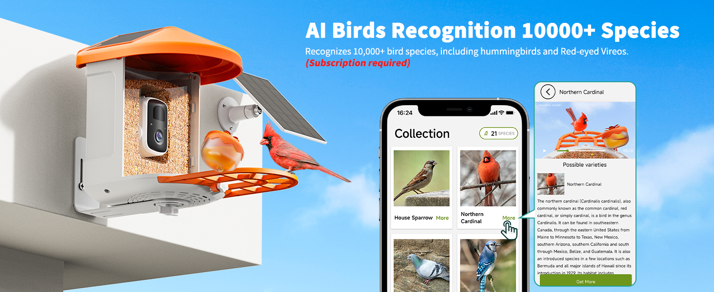 Birdnee app Collection screen and northern cardinal identification details, as shown in the product listing